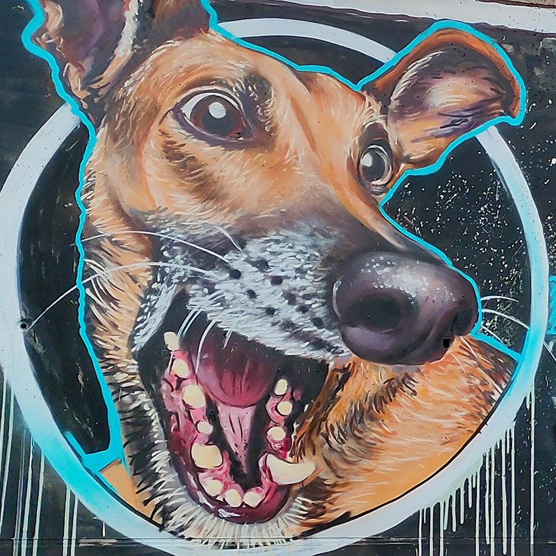 Graffiti de un perro contento con la boca abierta