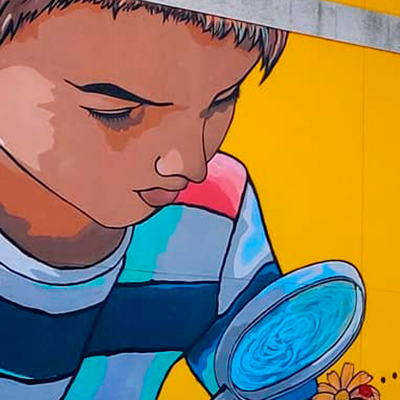 Detalle graffiti niño mirando mariquita posada en flor con una lupa