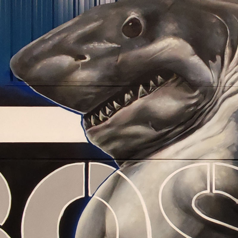 Detalle de graffiti de un tiburoón humanizado para QUENLLA CROSSFIT