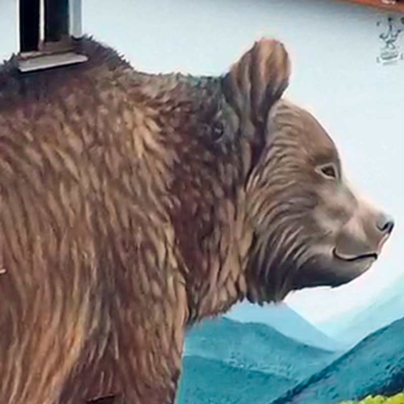 Detalle del grafiti del oso en Lieres